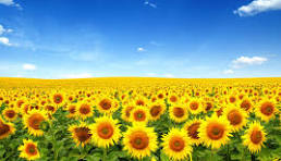 英語科教育法１2025